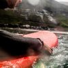 Surfer auf Surfbrett trägt Fischers Fritze Armband aus Segeltau, Makrele marineblau orange stahlblau im Salzwasser